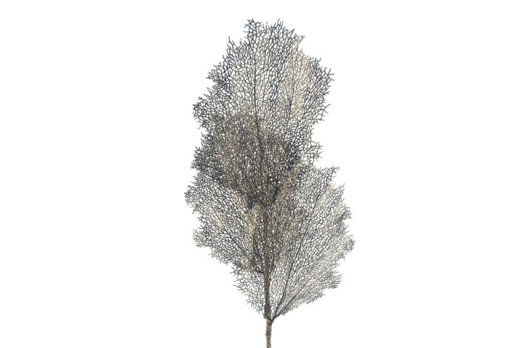 Kunst tak Coral Leaf