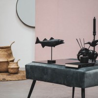  HV Zwarte Vis op een stok