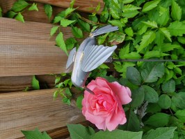 Tuinsteker kolibri oud zink metaal 