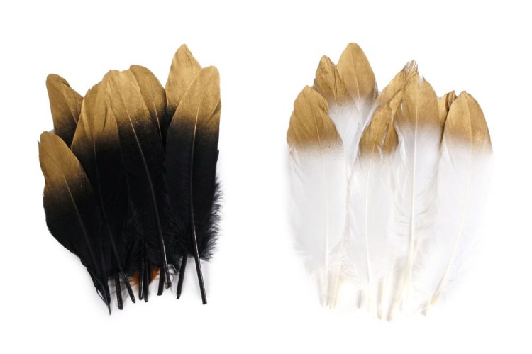 Veren wit/goud zwart/goud 10 stuks