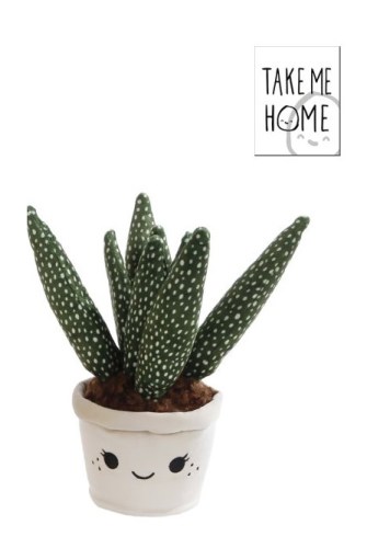 Take Me Home plant pluche Vetplant