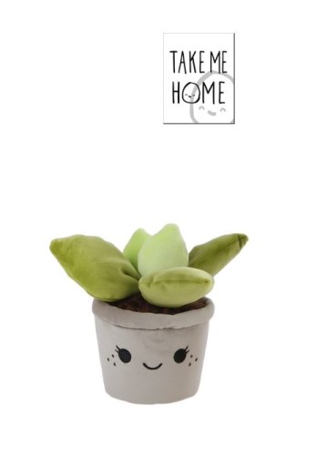 Take Me Home plant pluche Vetplant