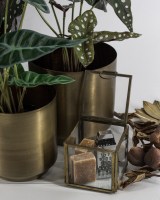 rasp voor Amberblokje metaal