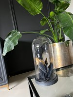 Veren wit/goud zwart/goud 10 stuks