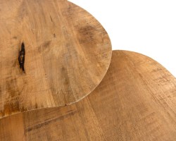 Erfurt salontafel organisch, set van 2, Smooth Natural - Must Have Collection