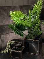 pbergdoos brass met rookglas maat L