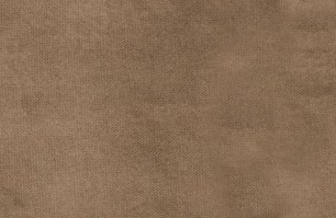 Rodeo Fauteuil Velvet Taupe bepurehome