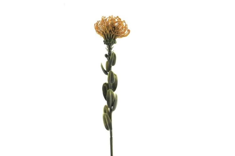 Kunstbloem Protea Momba mosterd 61cm