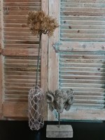 Bereklauw / heracleum met verlichting koper 80 cm