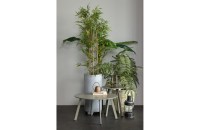 Fer bijzettafel metaal jungle ø70cm